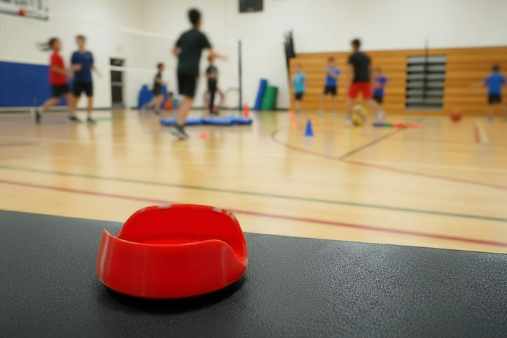 Blazepod flexible mount